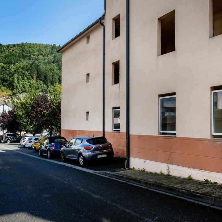 Appart. T 1 Bis, centre ville, entièrement rénové - Apartamento de 1 dormitorio - 25