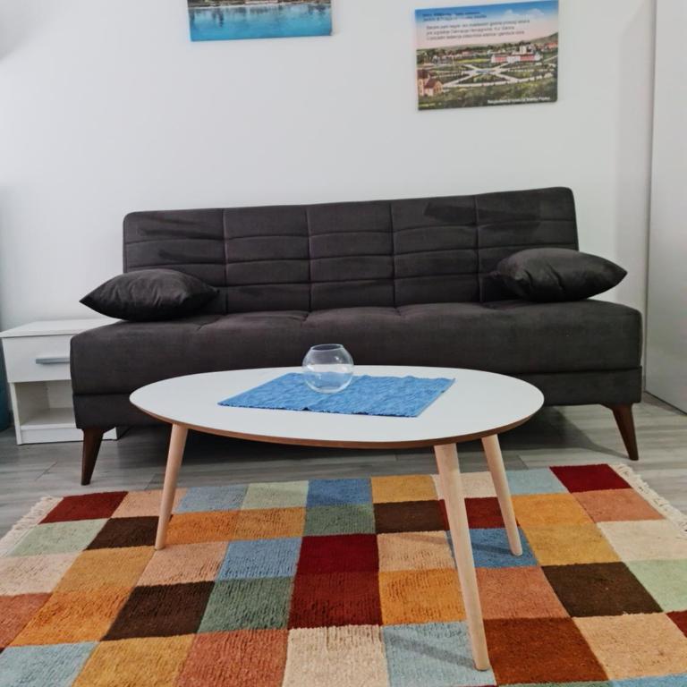Studio apartmani Banja Koviljaca - Studio - 7
