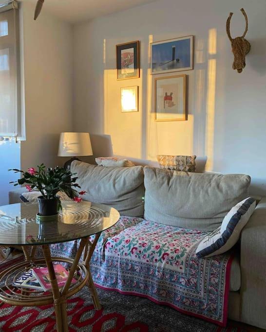 Piso céntrico, bonito, acogedor y luminoso - Two-Bedroom Apartment - 9