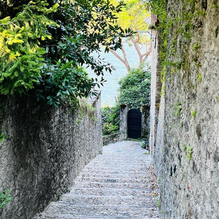Historic Alex Castle Apartment Lake Como - Appartamento Superior - 33