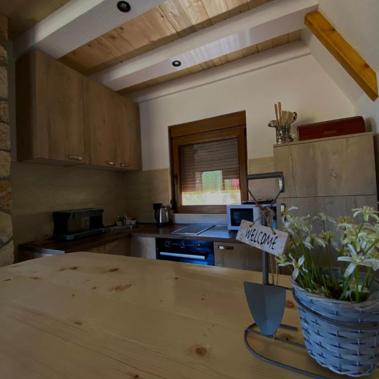 Srce Zminice - Two-Bedroom Villa - 2
