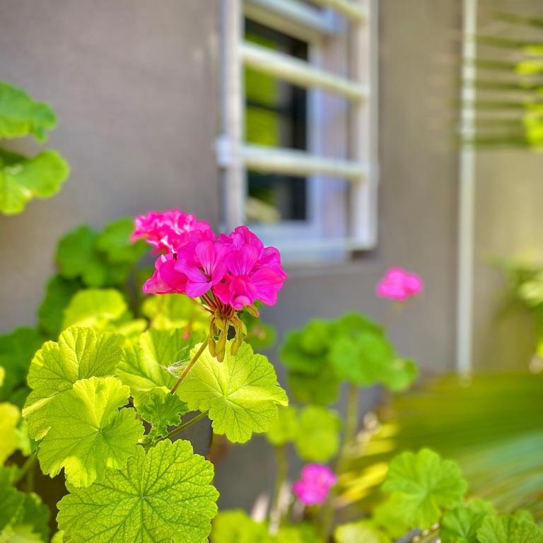 brisas de villa gesell - Two-Bedroom House - 59