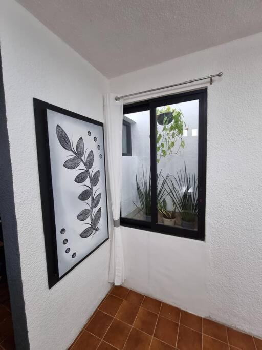 Casa Chelly Downtown Mérida - Casa de 3 dormitorios - 3