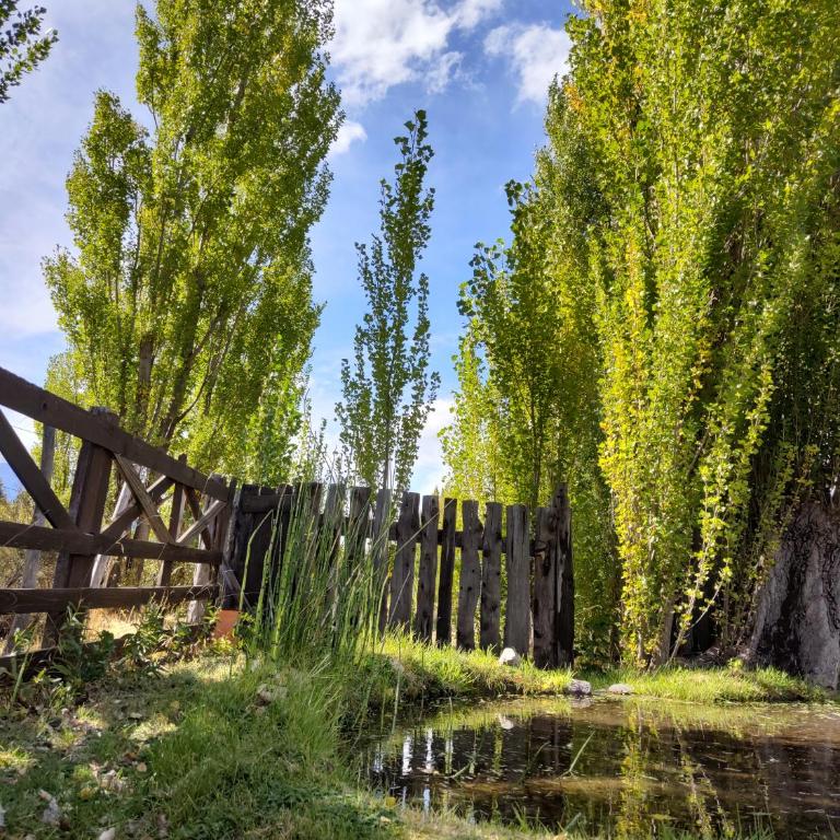 El viejo boliche - Casa de 2 dormitorios - 9