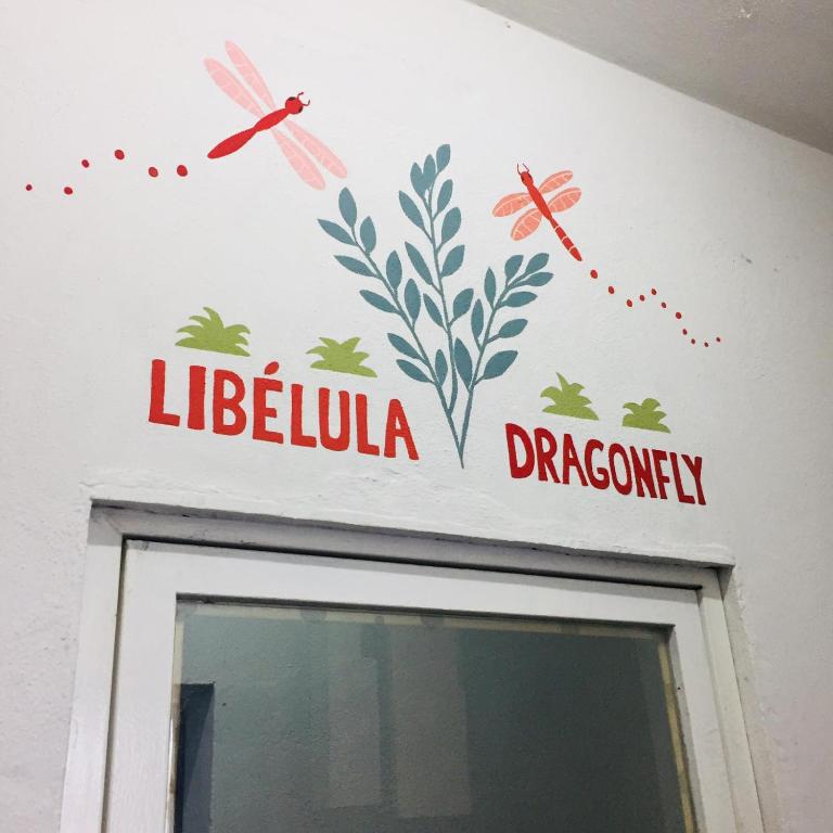 Vive Alegria Hostel - Standard Double Room with Shared Bathroom - 2