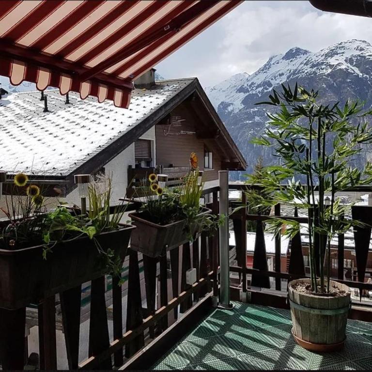 Silberblick Ferienwohnungen - aussergewöhnlich & familienfreundlich - Apartment mit 2 Schlafzimmern - 27