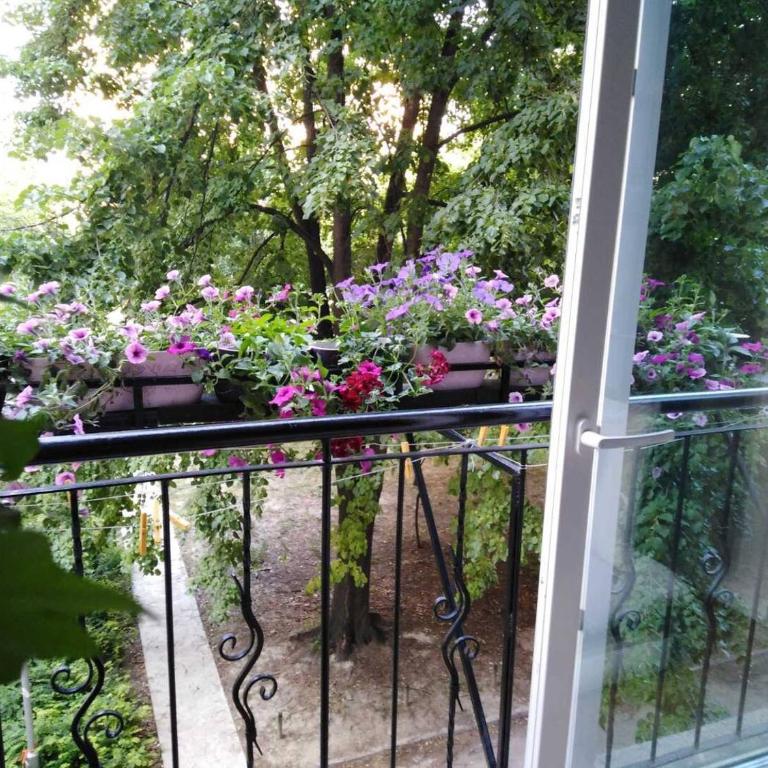 Ana Apartment - Apartman sa 2 Spavaće Sobe - 4