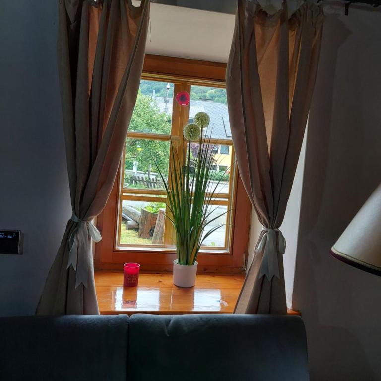 Blue House - Apartment mit 1 Schlafzimmer - 17