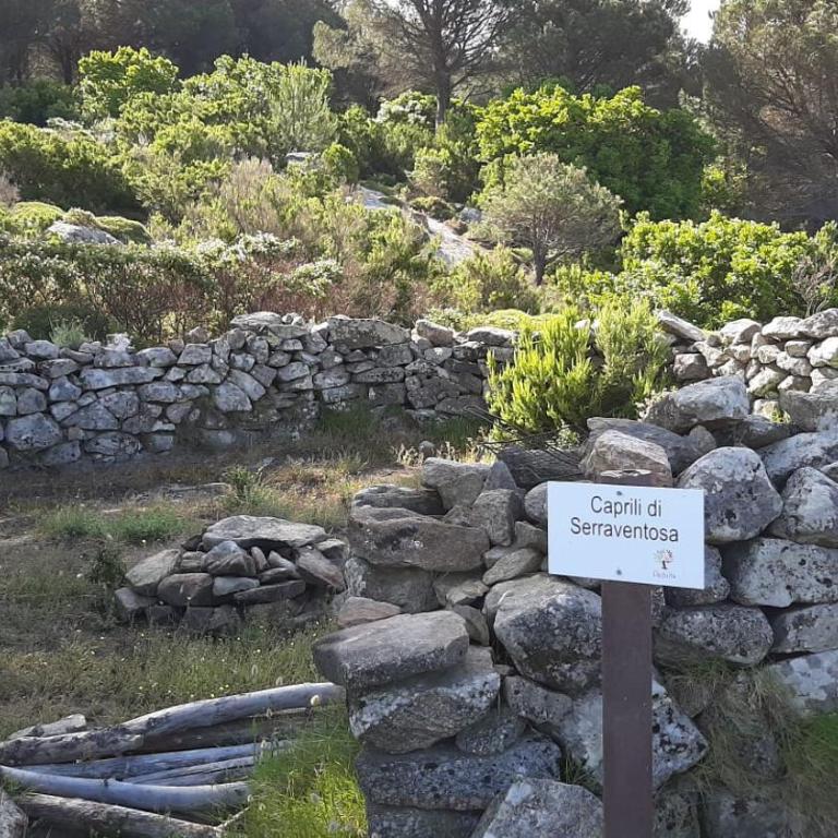 Casa vacanze il Pastore Tedesco - Appartamento con 2 Camere da Letto - 40