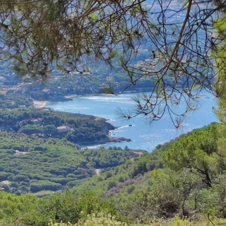 Casa vacanze il Pastore Tedesco - Appartamento con 2 Camere da Letto - 48