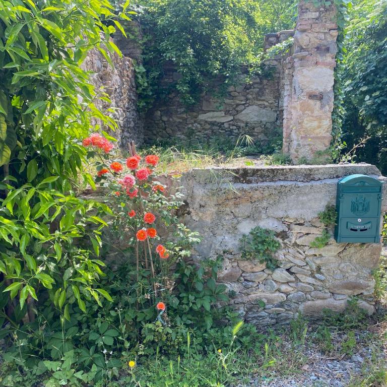 DOLCE VITA IN TUSCANY Cottage - Casa con 1 Camera da Letto - 52