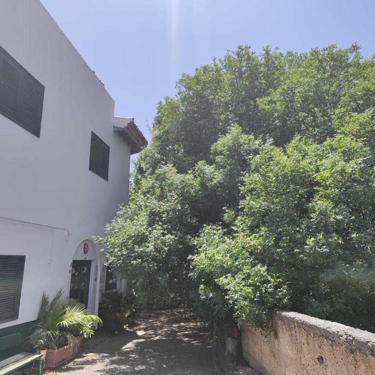 LA CASA DEL ALMÁCIGO - Apartamento de 1 dormitorio - 2