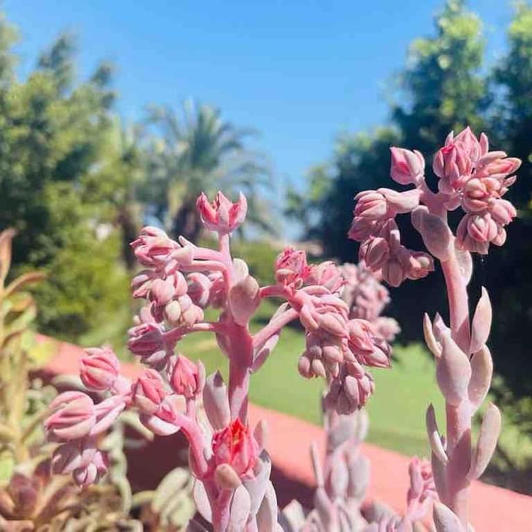 Casa de 3 plantas, con jardín y vistas al golf - Casa de 3 dormitorios - 38