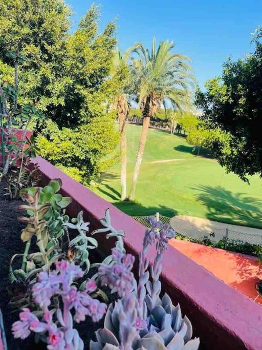 Casa de 3 plantas, con jardín y vistas al golf - Casa de 3 dormitorios - 50
