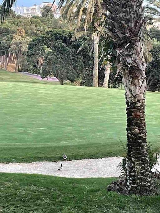 Casa de 3 plantas, con jardín y vistas al golf - Casa de 3 dormitorios - 56