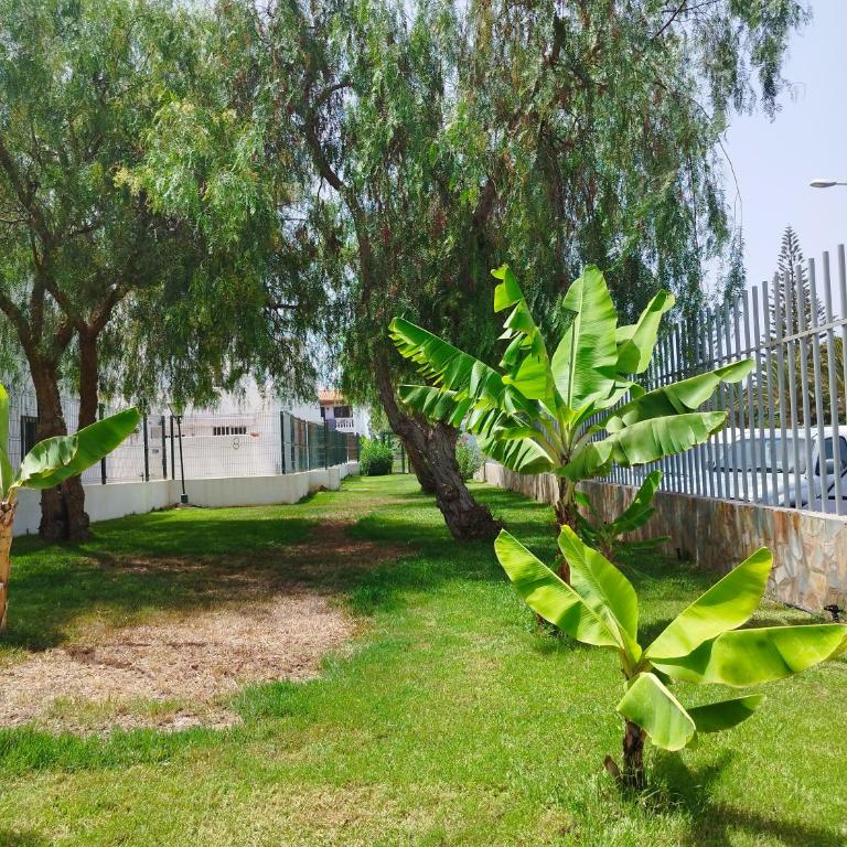 Casa de María Luisa - Apartamento - 2 niveles - 25