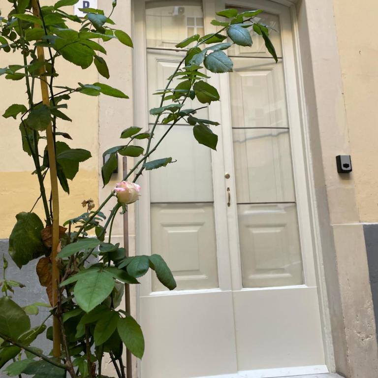 BOVIO PRESTIGE APARTMENTS CATANIA - Appartamento - Piano Terra - 15