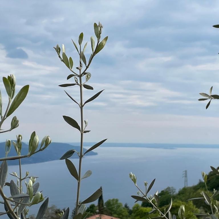 Casita di Ellinor - Casa con 3 Camere da Letto - 15