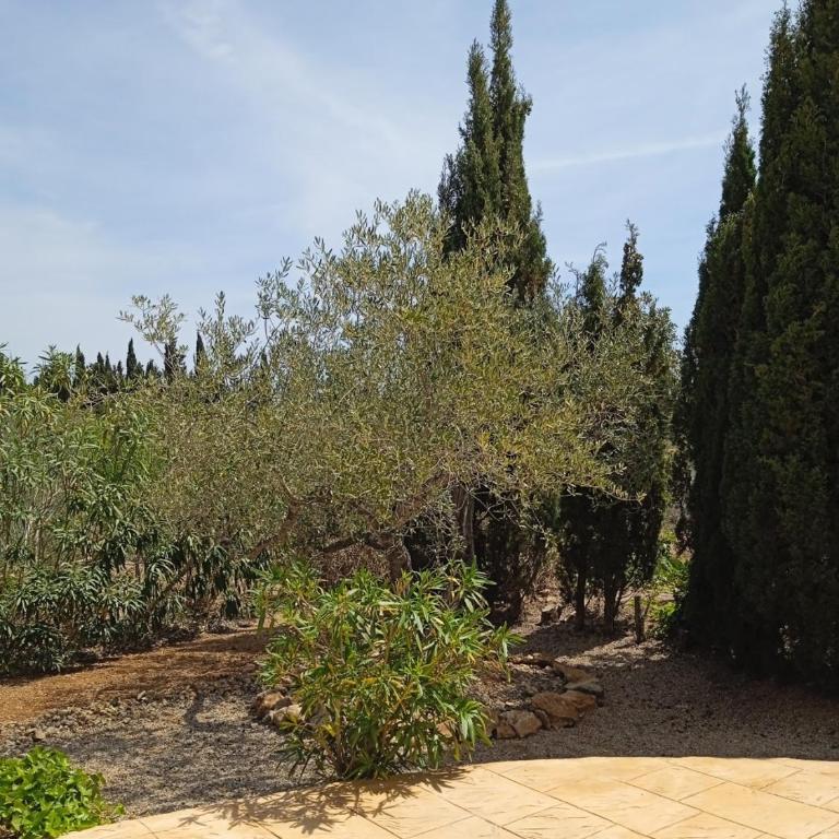 Finca el Gaudi, casita Catharina - Apartamento de 1 dormitorio - 14