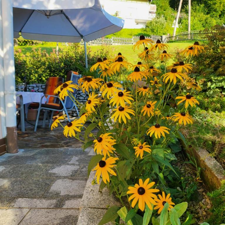 Ferienhaus Zangl am Seggauberg - Südsteiermark - Haus mit 1 Schlafzimmer - 25