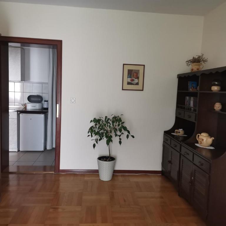 Apartman kod Vrapca - One-Bedroom Apartment - 10