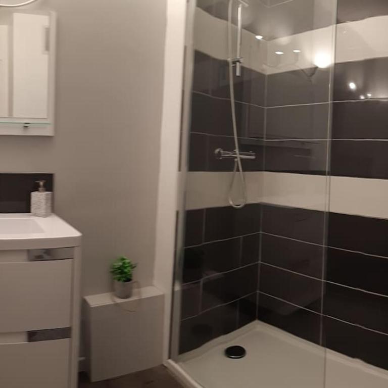 Au calme, 200m du centre T2 avec balcon et parking - Appartement 1 Chambre - 30