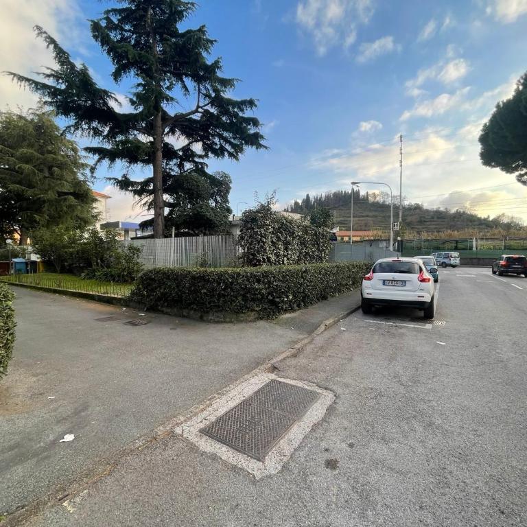 Il Mirto Fragrante - Appartamento con 3 Camere da Letto - 9