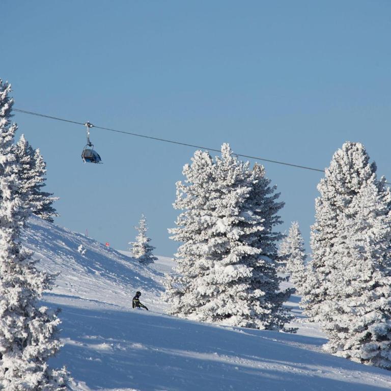 Chalet Hochkrimml with sauna on the ski slope - Ferienhaus mit 3 Schlafzimmern - 26