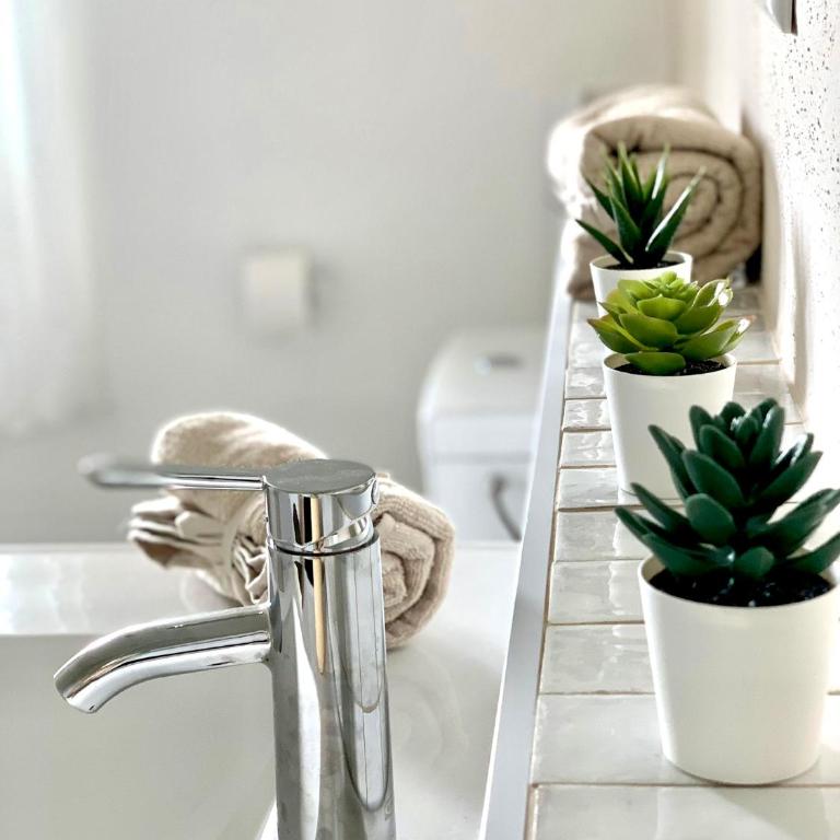 Top modernes Appartement mit Blick ins Grüne - Apartment mit 1 Schlafzimmer - 21