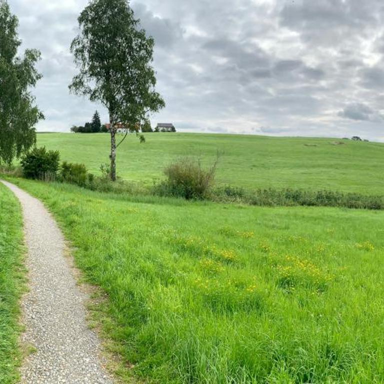 Top modernes Appartement mit Blick ins Grüne - Apartment mit 1 Schlafzimmer - 30