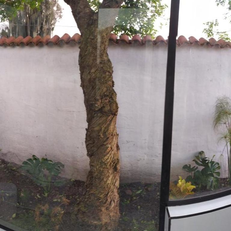 Cabañas & Glamping De Ruana Por Boyacá - Tent - 20