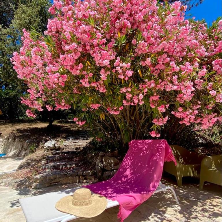 La Bastide Blanche Magnifique villa 5 étoiles 5 chambres et piscine privée sur 6500 m VAR - Villa avec Piscine Privée - 62