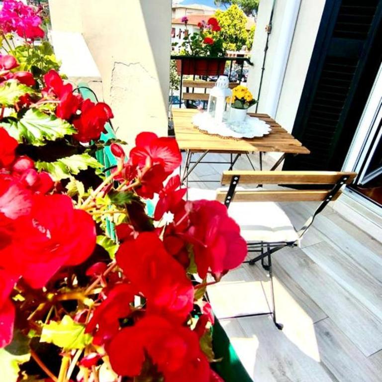 Lovely Lucca [free parking] - Appartamento - 20