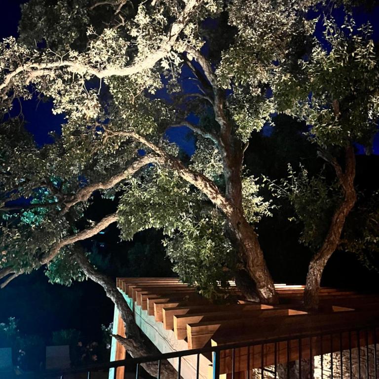 La Maison des Chênes - 5 étoiles - Villa - 26