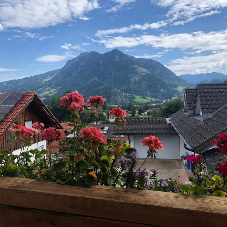Nagelfluh Hüs - Apartment mit Blick auf die Berge - 1