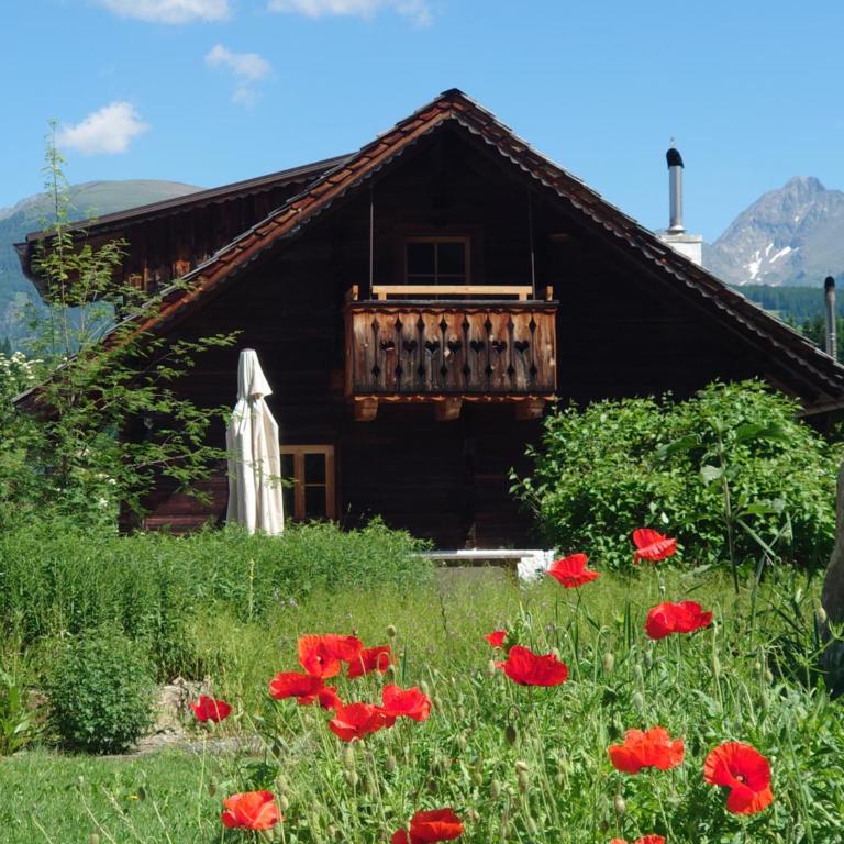 Alm Chalet Grosseck - Chalet - 14