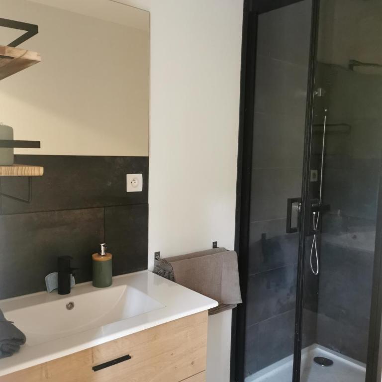 Charmant appartement à 1 minute du lac - Apartment mit 1 Schlafzimmer - 24