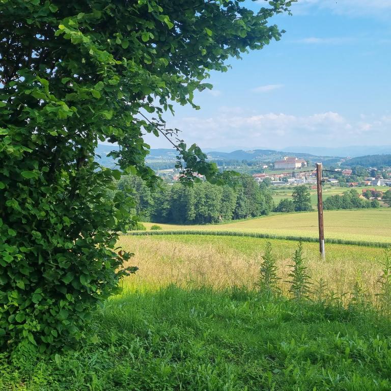 Kuscheliges Blockhaus in Alleinlage mit Traumaussicht - Haus mit 1 Schlafzimmer - 16