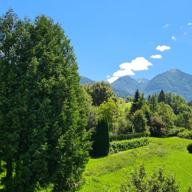 Gasthof Leitner - Der Wirt an der Klamm - Doppelzimmer mit Balkon - 3