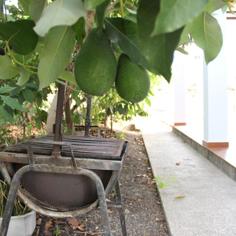 Casita Lily - Casa con 1 dormitorio - 13