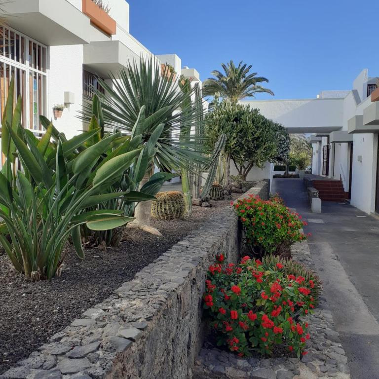 Precioso apartamento Costa del Silencio - Apartamento de 1 dormitorio - 30