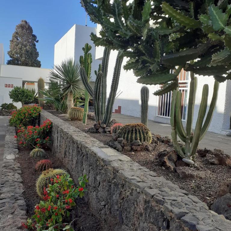 Precioso apartamento Costa del Silencio - Apartamento de 1 dormitorio - 32