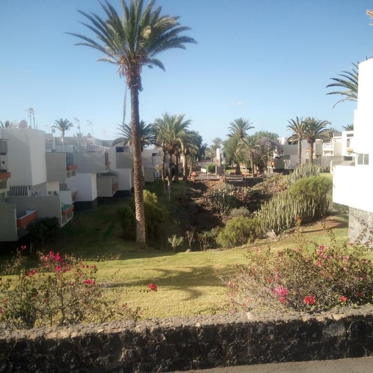 Precioso apartamento Costa del Silencio - Apartamento de 1 dormitorio - 35