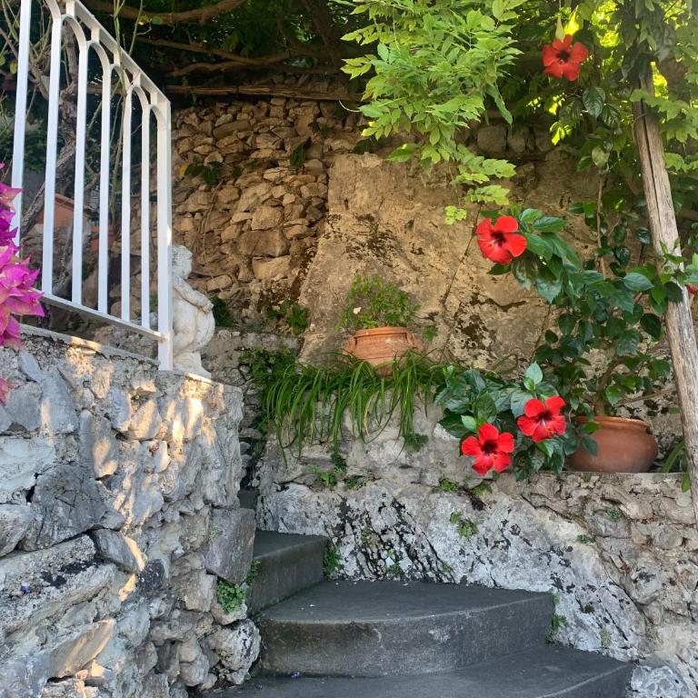 Palatonella - Villa con 2 Camere da Letto - 35
