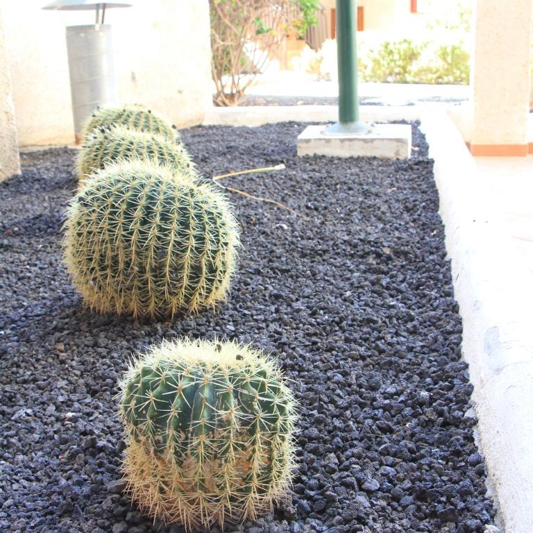 Las Americas - 2 bedrooms - Flayla-A - Apartamento de 2 dormitorios - 25