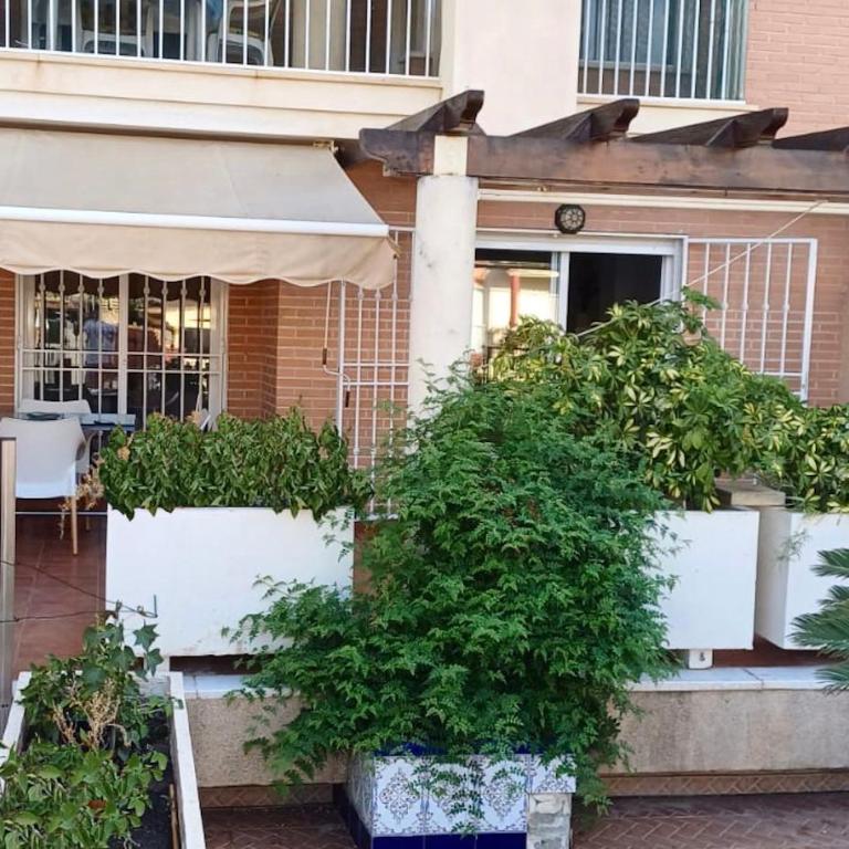 Las Yucas - Apartamento de 2 dormitorios - 4
