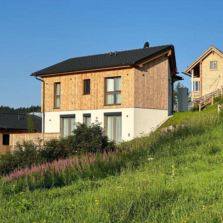 Berglisl - direkt an der Schipiste! Neue Ferienwohnung mit Sauna - Apartment - Erdgeschoss - 1