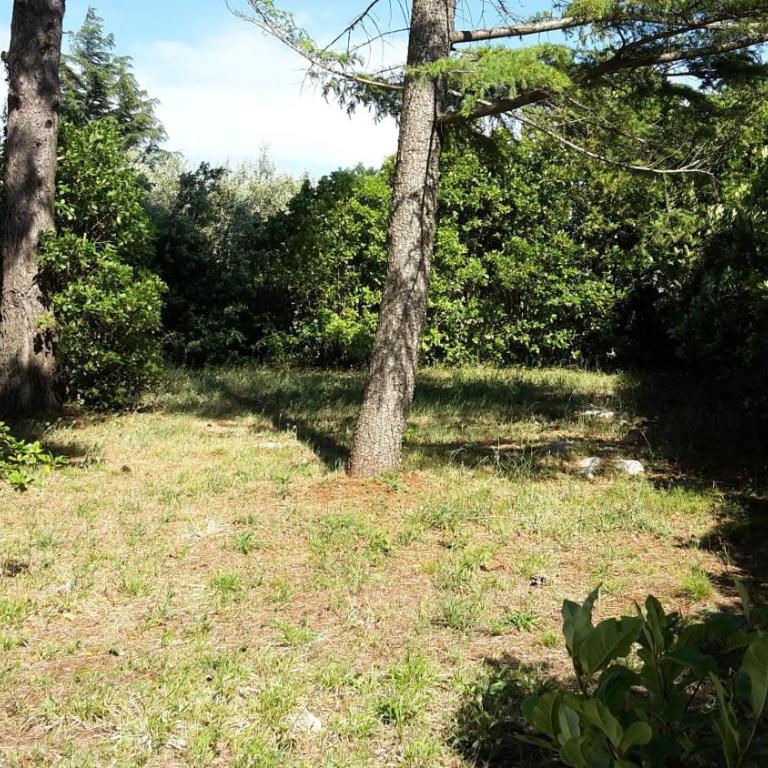Casa Vacanze Villa Greca - Appartamento Standard - 48