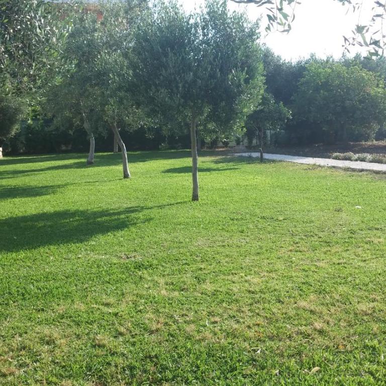 Casa Vista Mare - Casa Vacanze - 14