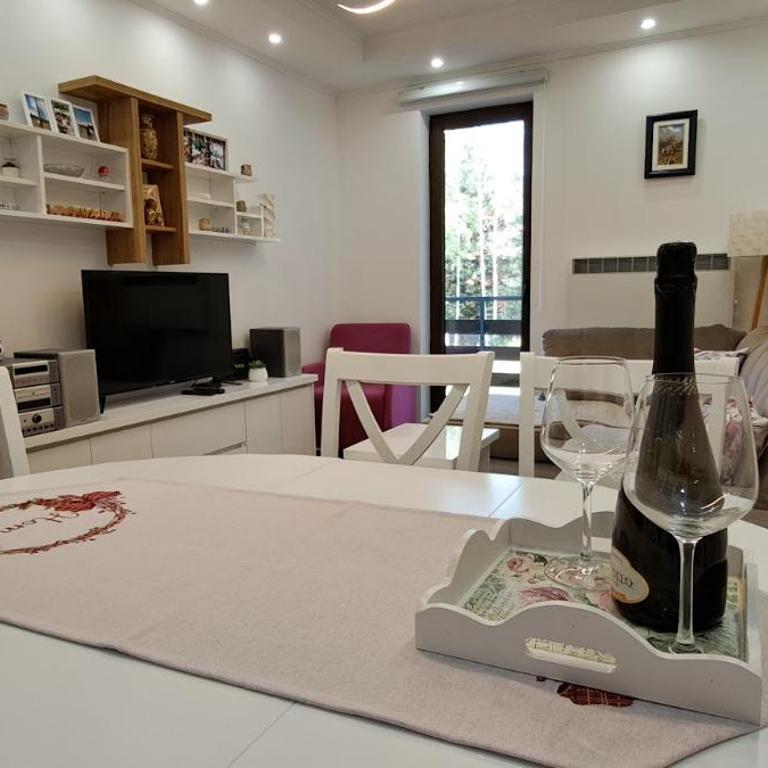 Apartman Obradović-Zlatibor - Apartman sa 1 Spavaćom Sobom - 18